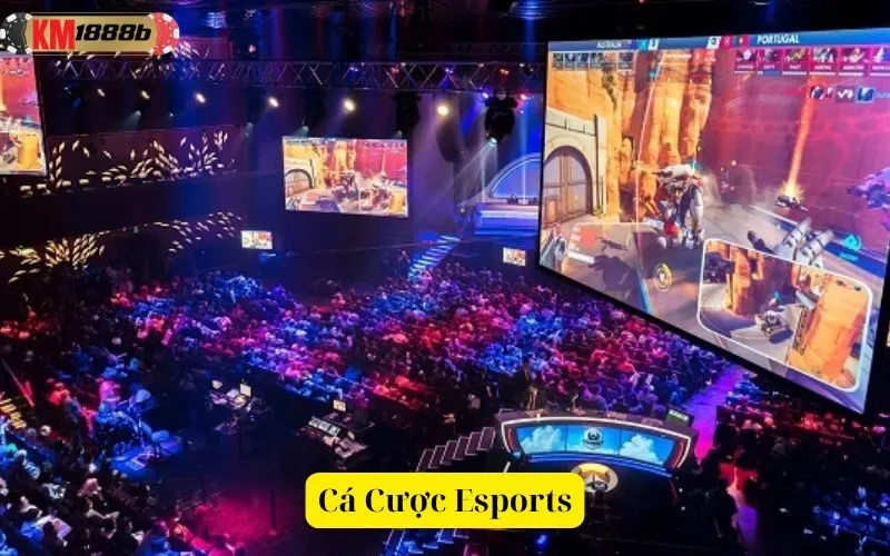 Cá Cược Esports
