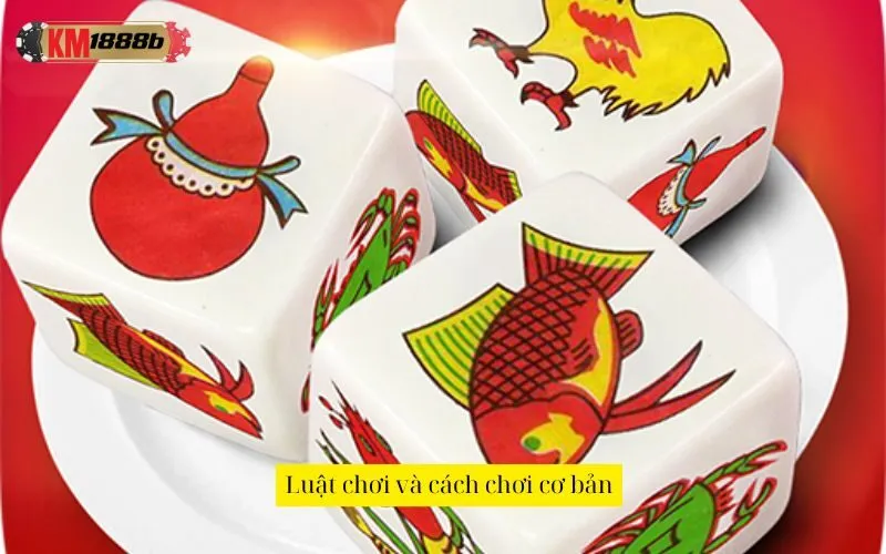 Luật chơi và cách chơi cơ bản