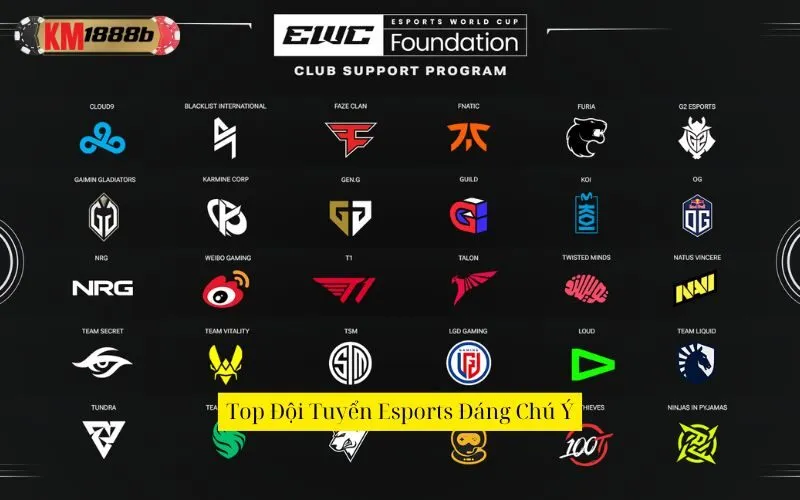 Top Đội Tuyển Esports Đáng Chú Ý